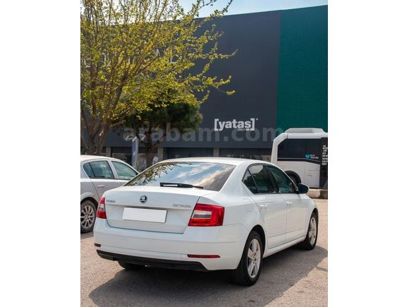 Sahibinden Skoda Octavia 1.6 TDI Optimal 2019 Model