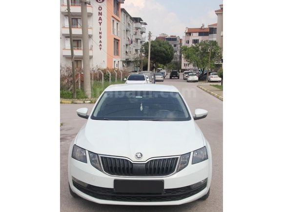 Sahibinden Skoda Octavia 1.6 TDI Optimal 2019 Model