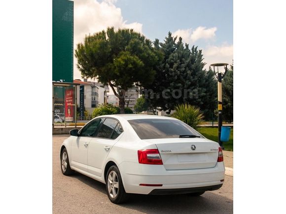 Sahibinden Skoda Octavia 1.6 TDI Optimal 2019 Model