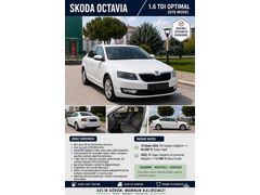 Sahibinden Skoda Octavia 1.6 TDI Optimal 2019 Model