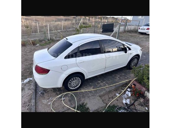 YENİ SAHİBİNİ ÜZMEYECEK CİNSTEN LİNEA 
