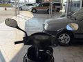 KUSURSUZ CAM GİBİ CYGNUS L