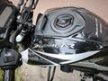 Memurdan Bajaj Dominar 250 D