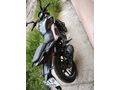Memurdan Bajaj Dominar 250 D