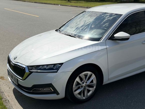 Sahibinden Skoda Octavia 1.0 e-Tec Premium 2021 Model 