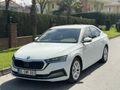 Sahibinden Skoda Octavia 1.0 e-Tec Premium 2021 Model 