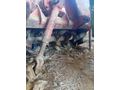 piston kaydırmalı 210cm rotovatör