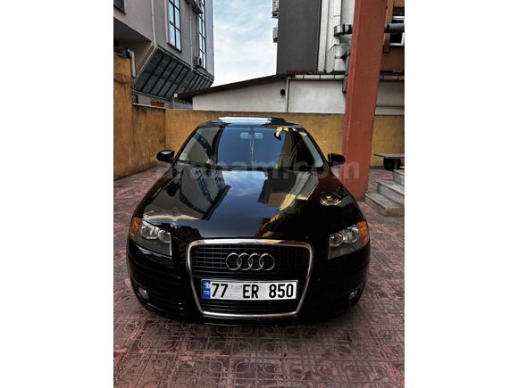 TİTİZ HASSAS BAKILMIŞ A3