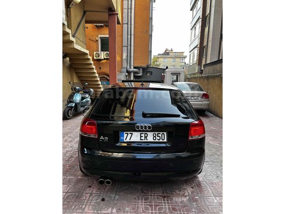 TİTİZ HASSAS BAKILMIŞ A3