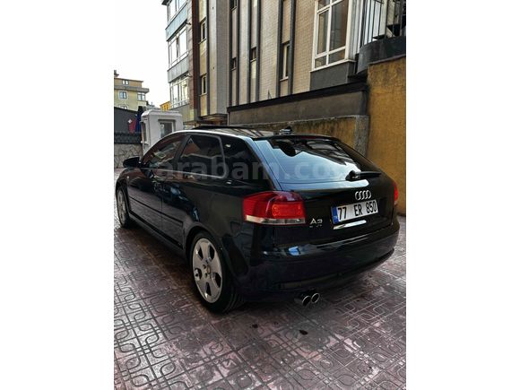 TİTİZ HASSAS BAKILMIŞ A3