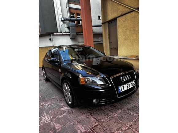 TİTİZ HASSAS BAKILMIŞ A3