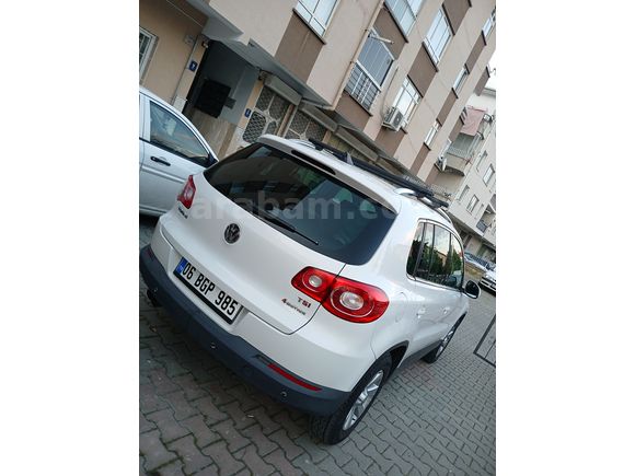 Kazasız boyasız