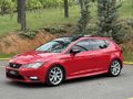 CAM TAVANLI SEAT LEON 2015