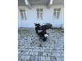 Sahibinden 2 bin km’de  EMSALSİZ