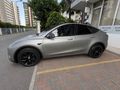Tesla Model Y LR AWD 15.800 km Mat PPF Karbon Garantili