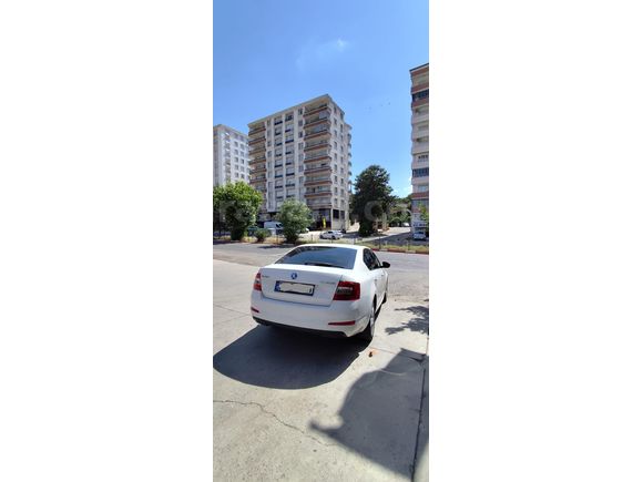 Sahibinden Skoda Octavia 1.6 TDI Optimal 2016 Model