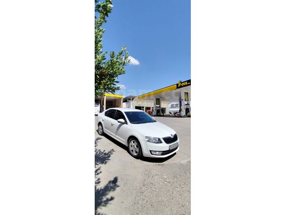 Sahibinden Skoda Octavia 1.6 TDI Optimal 2016 Model