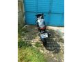 Sahibinden RKS R250