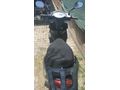 Sahibinden Kuba Space 50 Pro