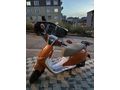 Sahibinden RKS Premium 125 