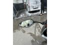 Sahibinden CFmoto 250SR 
