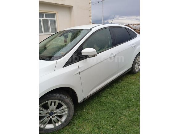 Sahibinden Ford Focus 1.6 TDCi Trend X 2014 Model