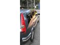 Sahibinden Ford Fusion 1.6 2004 Model