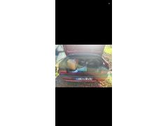 Sahibinden Renault R 19 1.6 Europa RT 1997 Model  337.000 km Bordo