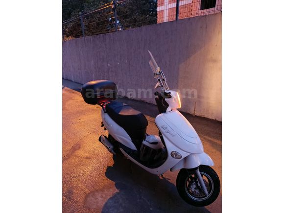 Otomatik Mondial 100 Loyal