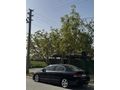 Sahibinden Honda Civic 1.6 Premium 2010 Model 
