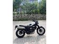 2023 MODEL HONDA CL 250
