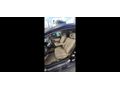 Sahibinden Honda Civic 1.6i VTEC Premium 2009 Model