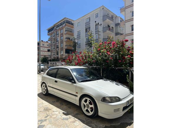 HAYAT HONDA