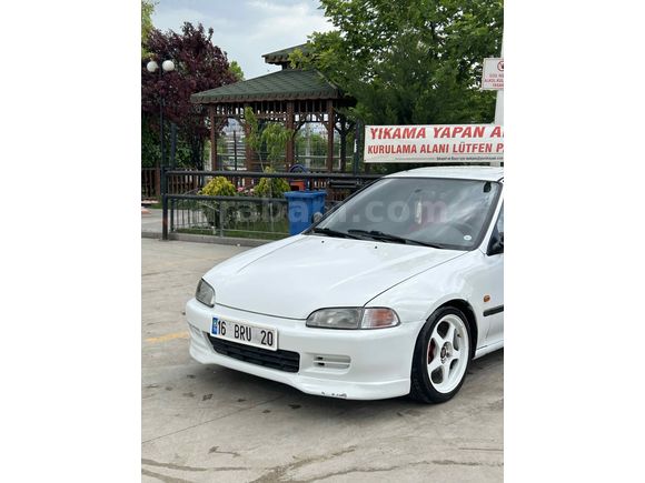 HAYAT HONDA