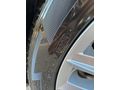 Sahibinden Volkswagen Passat 1.6 TDi BlueMotion Impression 2017 Model 