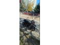 Sahibinden TVS Raider 125