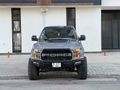 F150 nardo gri temiz bakımlı