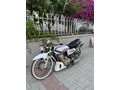 Acill Arora CG 50 