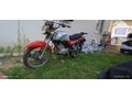 Sahibinden Salcano Wolf S