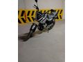 Sahibinden Mondial 125 Drift L CBS