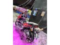 QJ REALE 125