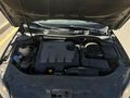 Passat Sanruflu full