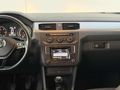 OTOMOBİL RUHSATLI LANSMAN RENK CADDY