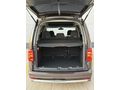 OTOMOBİL RUHSATLI LANSMAN RENK CADDY