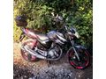 Sahibinden Yamaha YBR 125 ESD