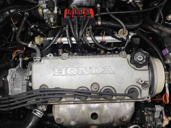 ??UYGUNA HONDA İLK GELEN ALIR??