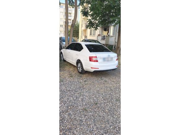Sahibinden Skoda Octavia 1.2 TSI Optimal 2016 Model