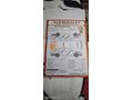 Sahibinden Renault Kangoo 1.5 dCi Expression 2009 Model  383.000 km Beyaz