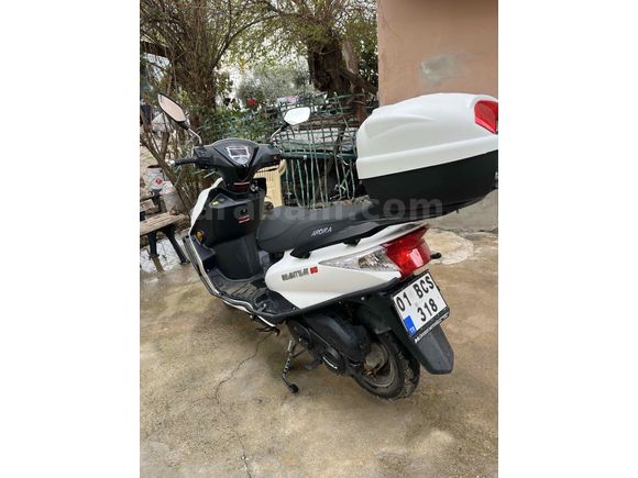 Sahibinden Arora Quantum 50 