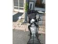 Sahibinden CFmoto 250CL-X